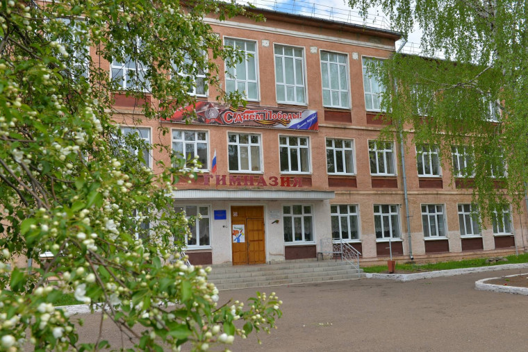 Отчет о работе педагога-наставника Кучиной Е.С. за 2024-2025 учебный год.